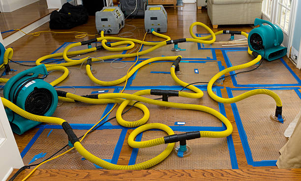 Professional Water Damage Restoration technician working in Afton, OK